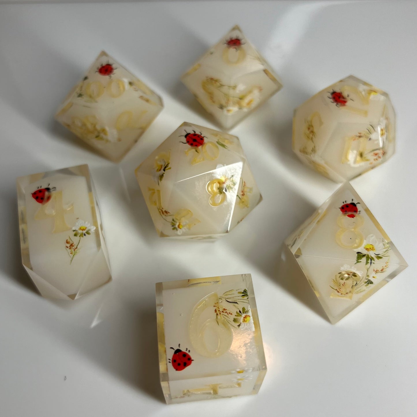 Lady Bugs 7 piece dice set
