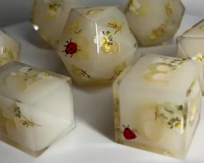 Lady Bugs 7 piece dice set